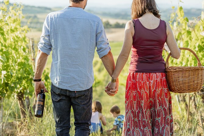 Montalcino: exclusive picnic in the vineyard with wine basket