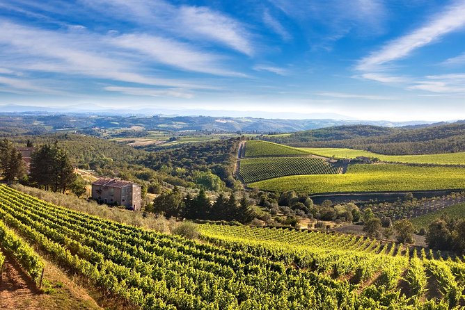 Montecarlo and Wine Tasting from Lucca Private Tour - Good To Know