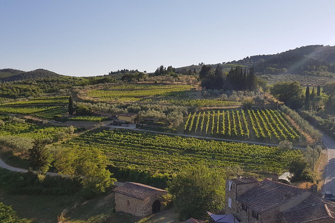 Montefioralle Winery – Tour and Wine Tasting in Chianti