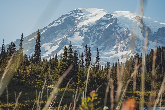 Mount Rainier Full Day Private Tour and Hike (Seattle) - What to Expect on the Mount Rainier Private Tour