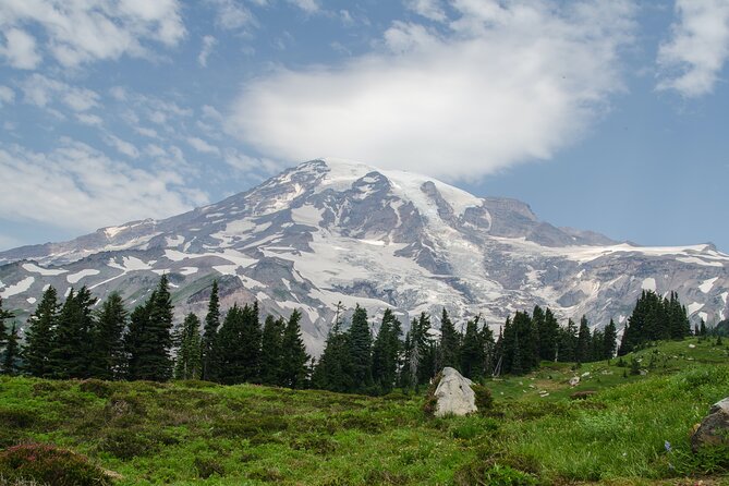 Mount Rainier Full Day Small Group Tour