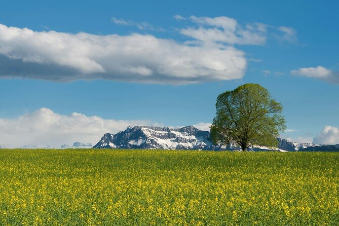 Mount Titlis with Swiss Travel Pass - An Inside Look at the Mount Titlis Experience
