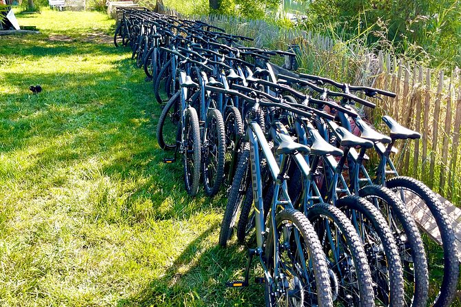 Mountain bike rental in Camargue - Introduction: What’s this Camargue Electric Scooter Tour All About?