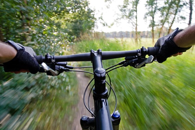 Mountain Biking Small-Group in Stockholm Forests for Beginners
