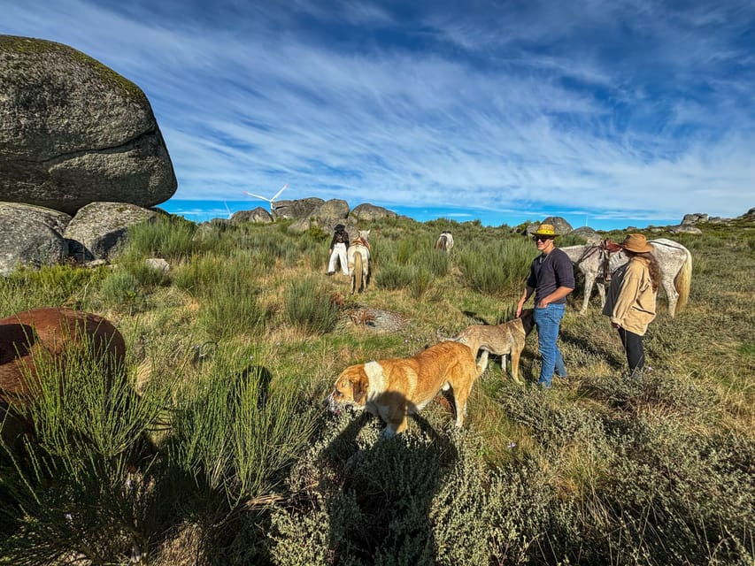 Mountain Horseback Ride, Lunch, Wine Tasting - An In-Depth Look at the Tour Experience