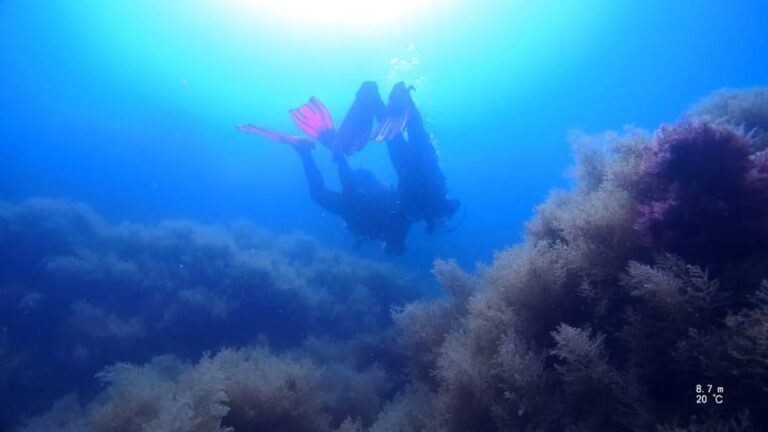 My first scuba dive in the Ocean from Madeira