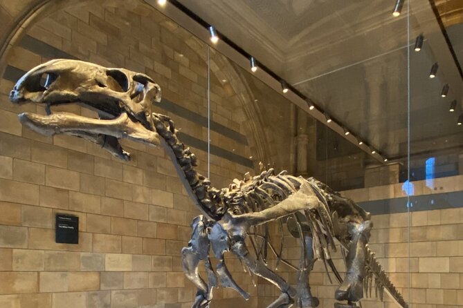 Natural History Museum Self-guided Tour for Kids in English