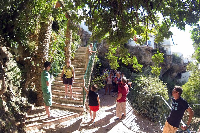 Natural Parck Jeep Eco Tour from Costa del Sol - Good To Know