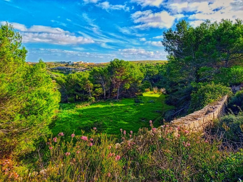 Nature Highlights Private Walking Tour with Transport - Exploring Malta’s Natural Treasures: A Detailed Look
