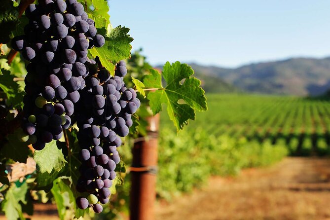 New York Wine Vineyard Tour - Price vs. Value