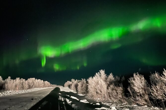 Northern Light hunt with minibus to Abisko 7:30 pm