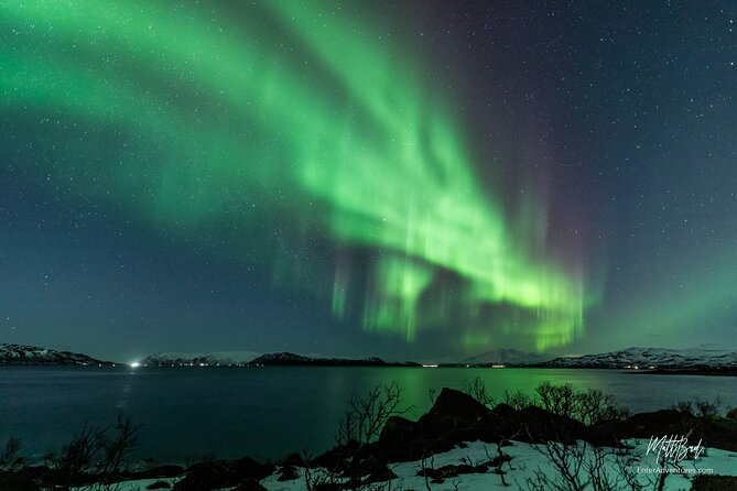 Northern Lights Guided Bus Tour with Snacks Hot drinks