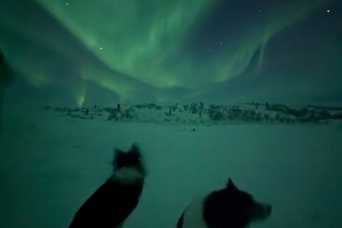 Northern Lights Minibus Chase Max 16 Person In Group
