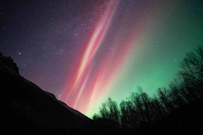 Northern Lights Tour with small group of 8 people