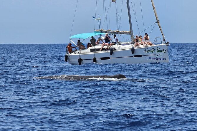 Ocean Pack Tenerife Jet Ski and Yacht Whale Watching