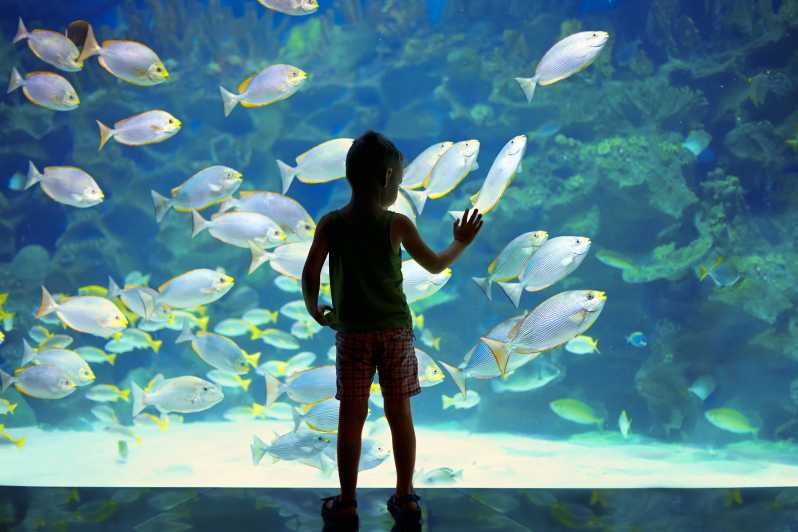 Oceanographic Museum of Monaco Ticket - The Marvels of the Monaco Oceanographic Museum
