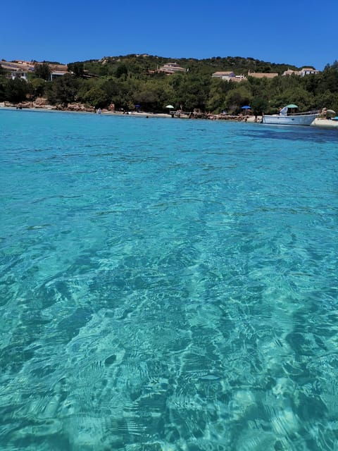 Olbia: Private excursion and snorkeling to the islands of Tavolara and Molara - Starting Point and Logistics