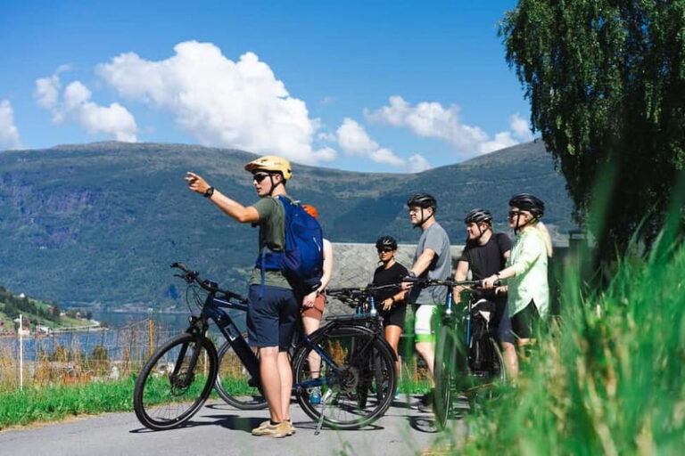 Olden: Guided e-bike tour