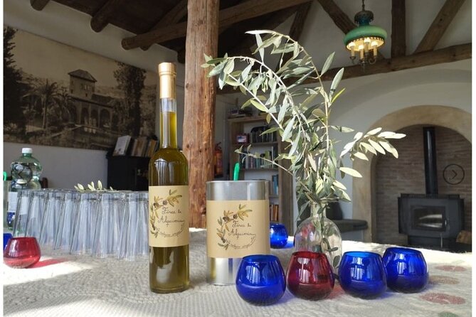 Olive Oil Half Day Private Experience from Granada