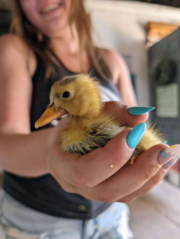 Omemee: A Playdate With a Pony - Good To Know