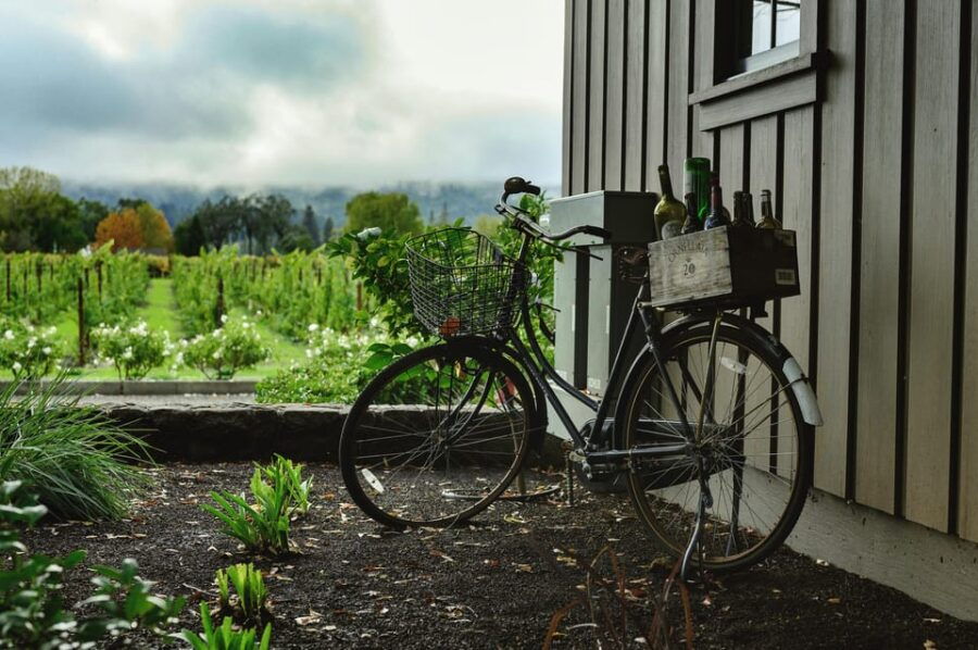 One Day Winery Tour with Wine Tasting and Cheese snack - Why This Tour Stands Out