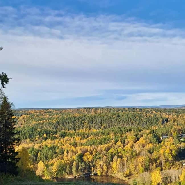 Oslo: Scenic Forest Hike with Dog & Local Guide
