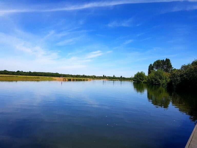 Oxford: Jericho and Port Meadow Guided Walking Tour