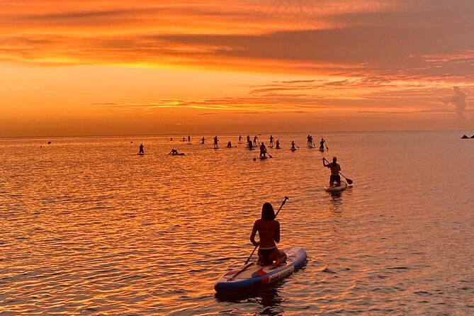 Paddle Surfing in Barcelona - What to Expect from the Paddle Surfing Tour in Barcelona
