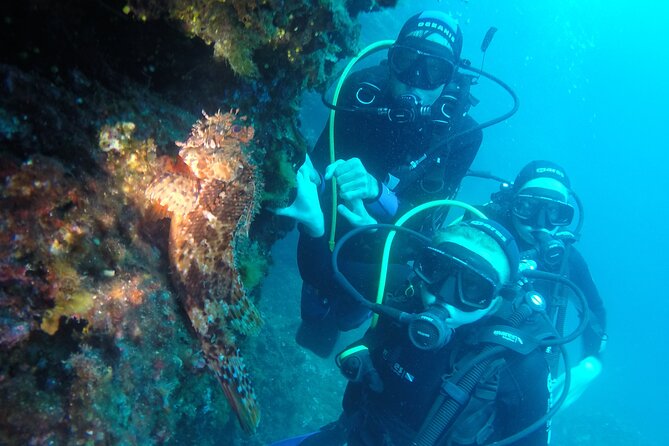 PADI Discover Scuba Diving in Dubrovnik - What to Expect: A Step-by-Step Breakdown
