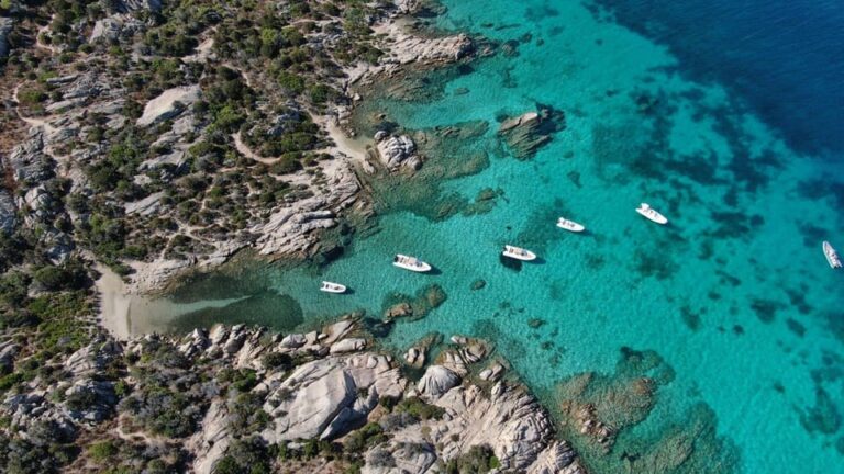 Palau: private RIB tour in La Maddalena Archipelago