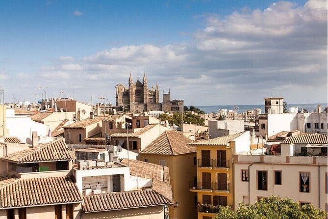 Palma de Mallorca Must-See Attractions Walking Tour With A Guide - A Detailed Look at the Palma Walking Tour