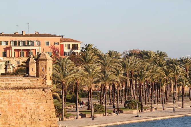 Palma de Mallorca Private Walking Tour with tour guide - Walking Through Palma’s Key Highlights