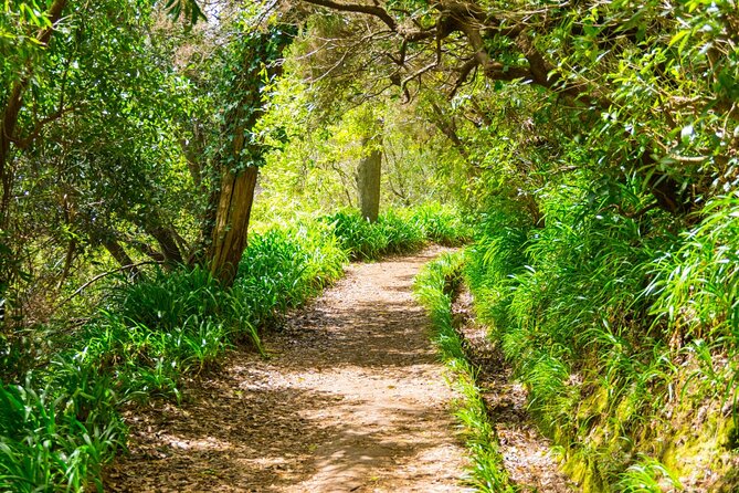 Paradise Valley Madeira Island Walk - Analyzing the Value: Is It Worth It?