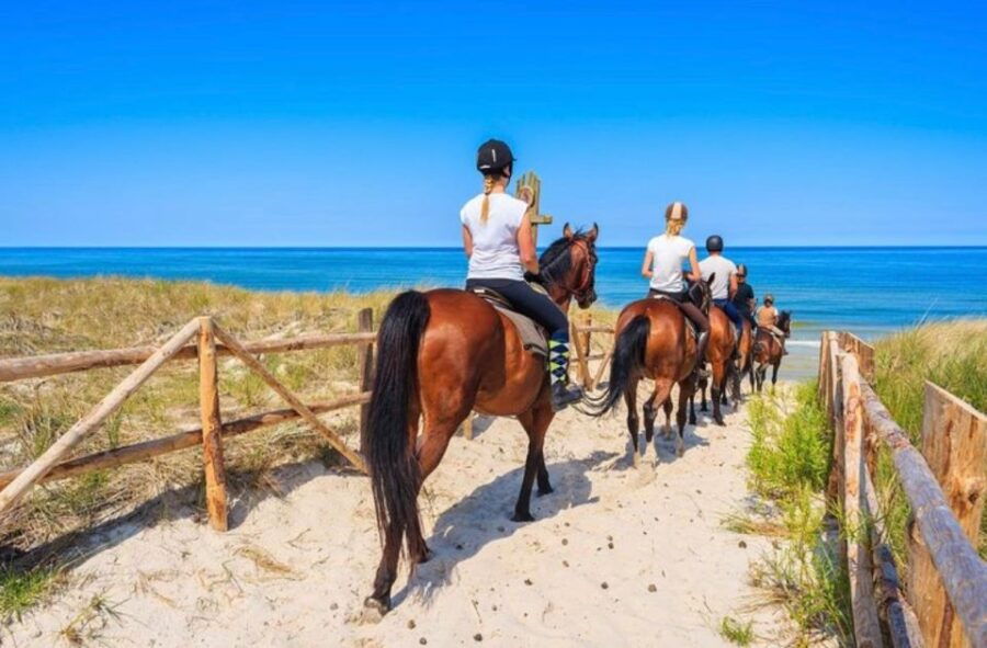 Paros: Morning Island Horseback Riding Adventure - An In-Depth Look at the Paros Horseback Riding Tour