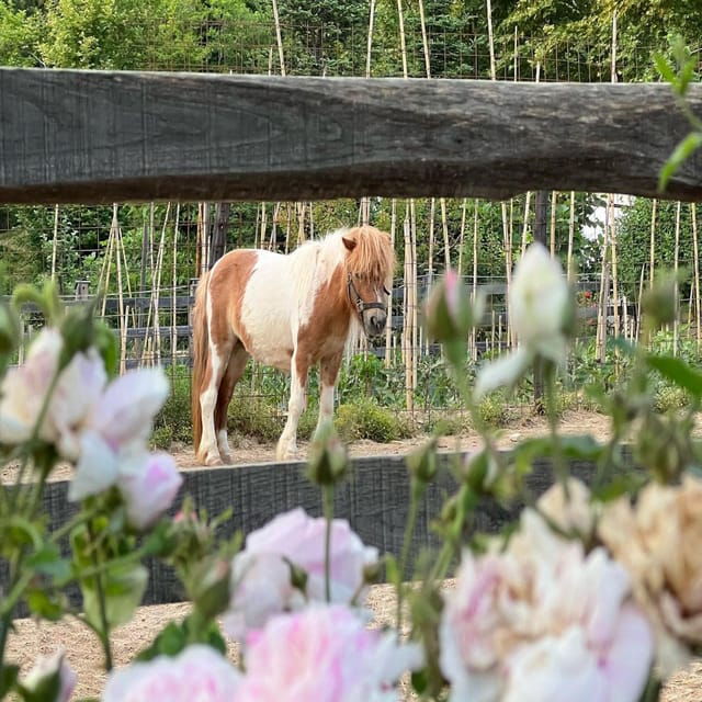 Pelion Private Nature Experience : Farm-to-Table Cooking - Good To Know