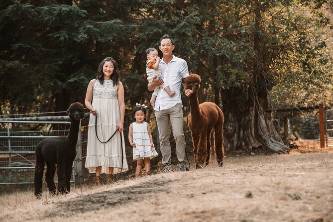Photoshoot with Alpacas and Farm Experience near Seattle