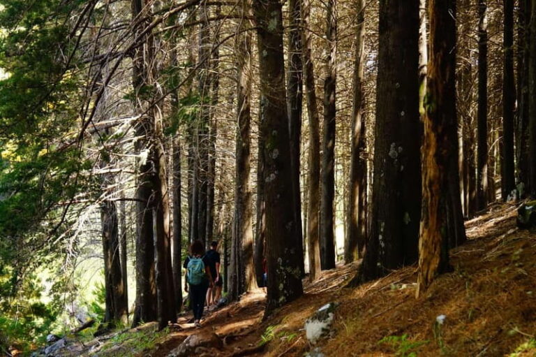 Pico do Arieiro – Stairway to Heaven Hike – Sunrise Option