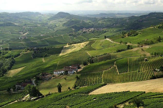 Piemonte Vineyards by Yourself from Turin – Business Car with English Chauffeur