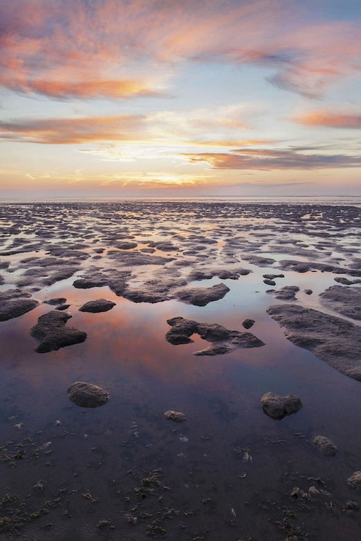 Pieterburen: Wadden Sea Mudflats Guided Walking Tour - What is the Pieterburen Wadden Sea Mudflats Guided Walking Tour?