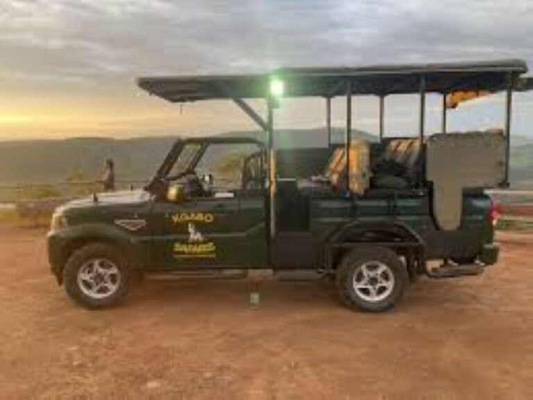 Pilanesberg : Sunrise Morning Game Drive