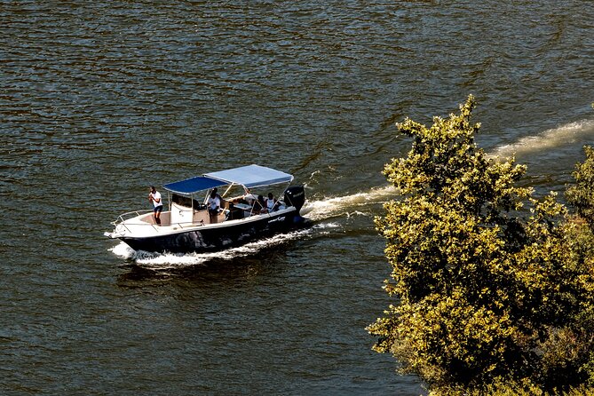 Pinhão: 4 hours Douro River Cruise with Lunch Included - Good To Know