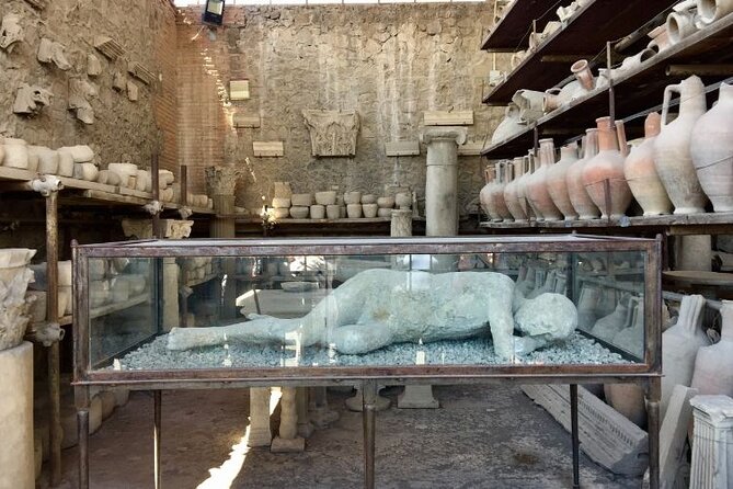 Pompeii and Herculaneum tour with lunch from Sorrento - What Makes This Tour Stand Out?