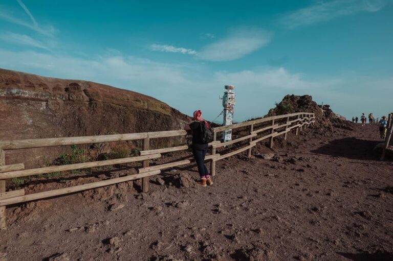 Pompeii and Mount Vesuvius excursion from Naples