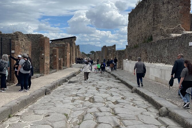 Pompeii Guided Tour from Naples with Transport and Entrance Included