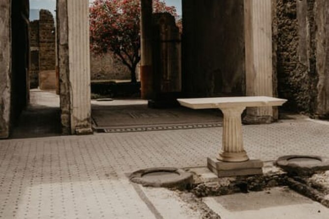 Pompeii Guided Tour with Train Included from Rome