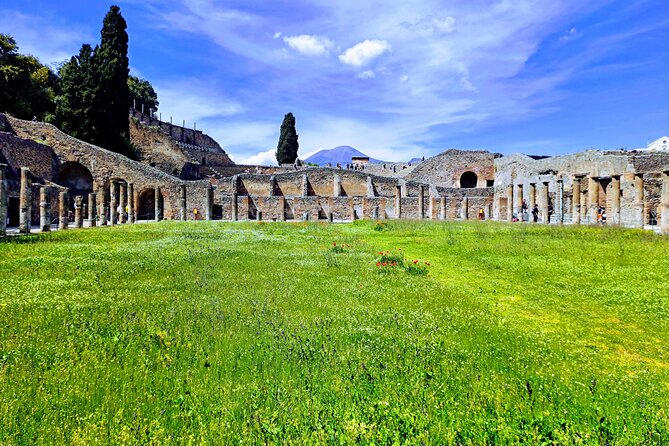 Pompeii Private Guided Tour from Naples