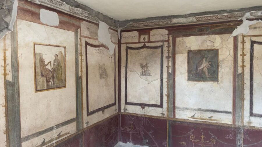 Pompeii-Vesuvius & Winery All Inclusive Tour From Positano - What You Can Expect on This Tour