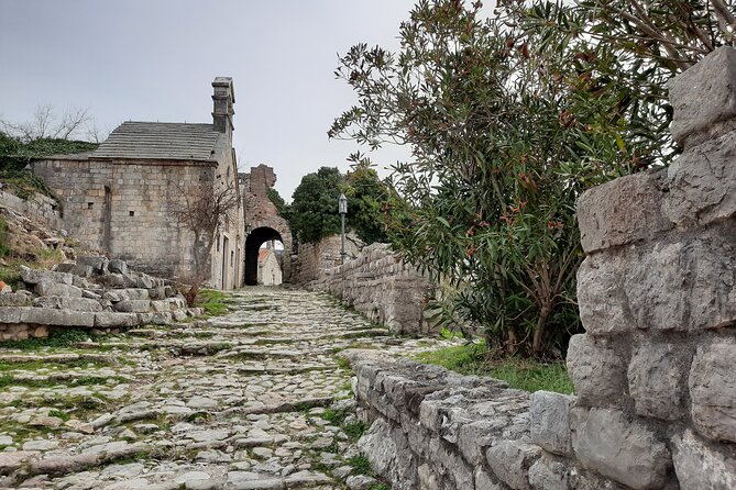 Port of Bar – Old town Bar and oldest European Olive tree visit