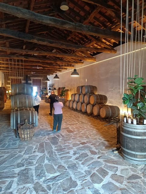 Porto: Douro valley 2 farms with wine tasting and lunch