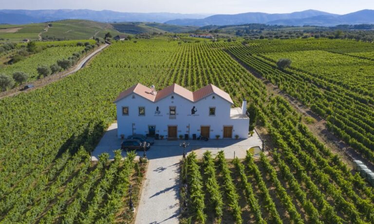 Porto: Douro Valley Day Trip with Lunch and Favaios Village